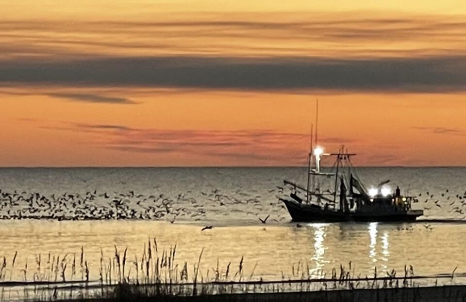 GULF PINES - Residential