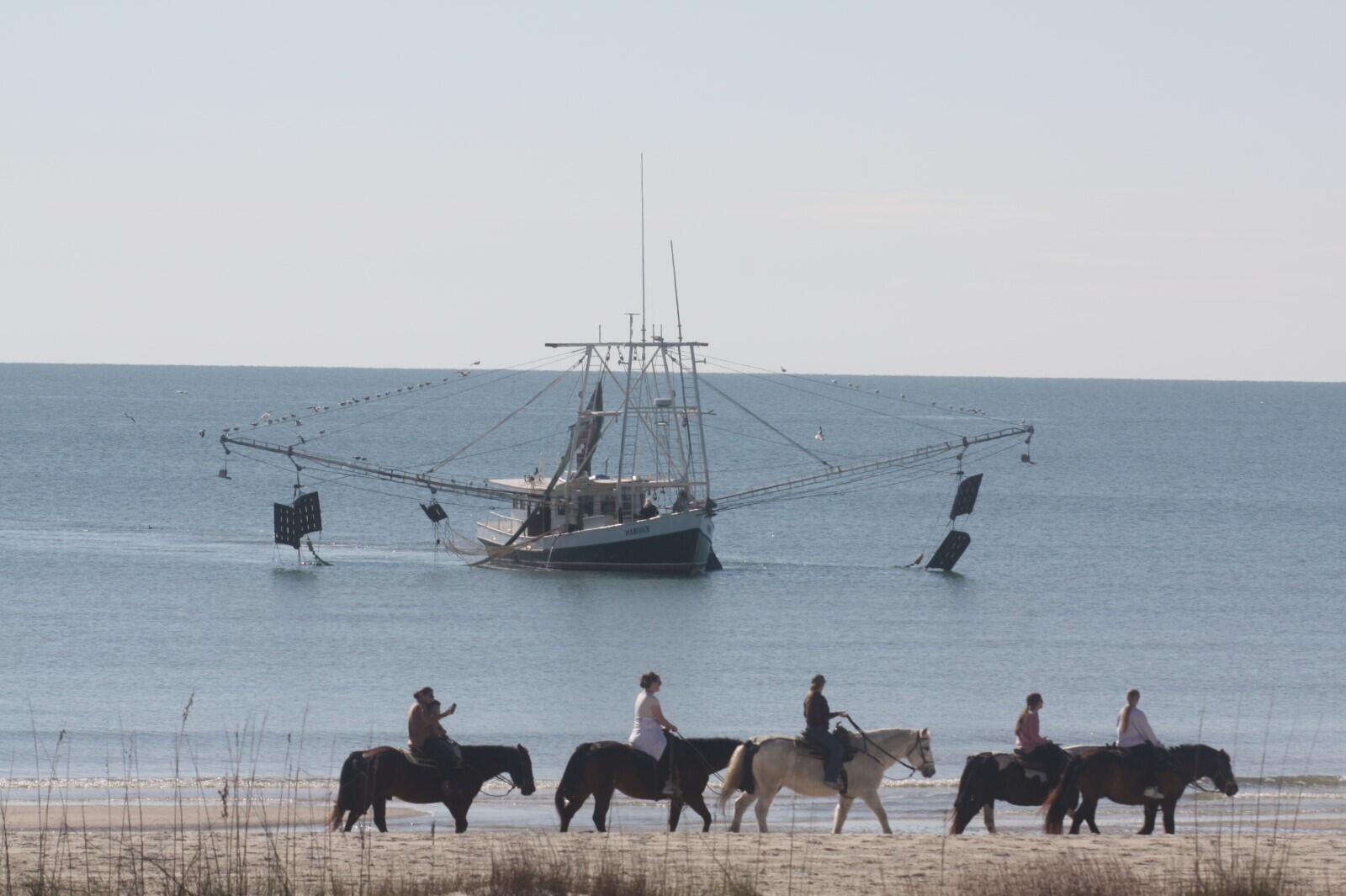 GULF PINES - Residential