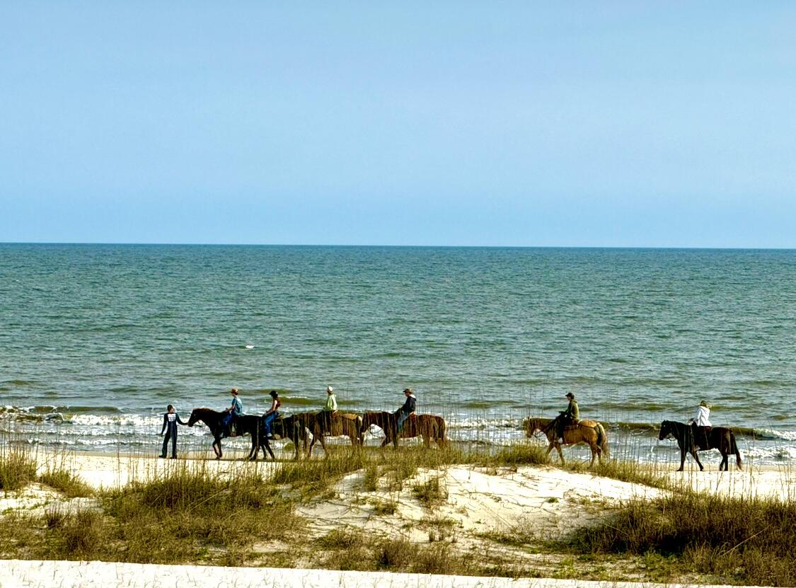 GULF PINES - Residential