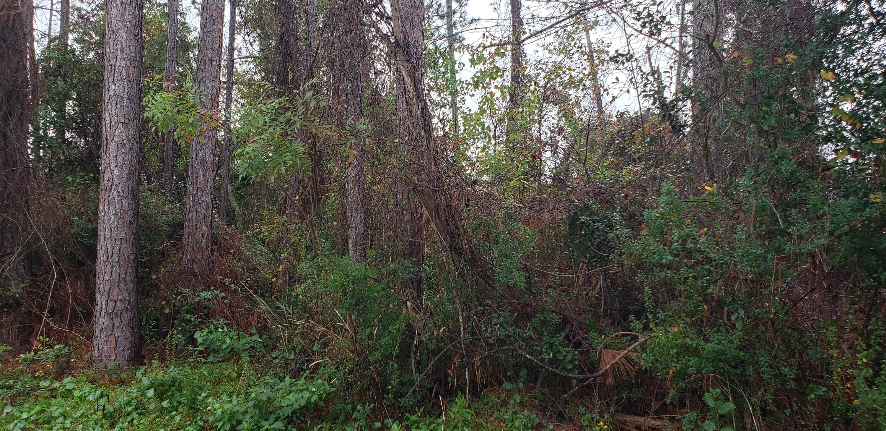 GULF HIGHLANDS - Land