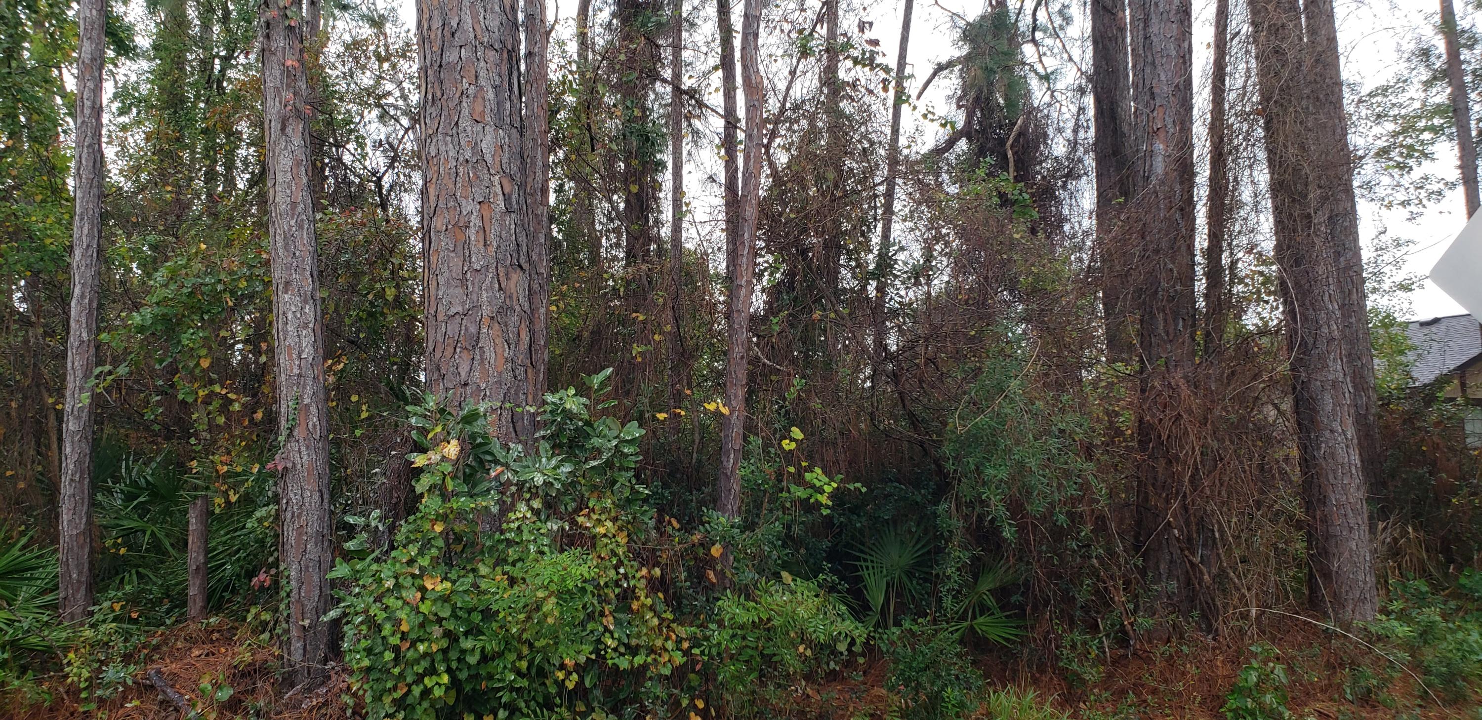 GULF HIGHLANDS - Land