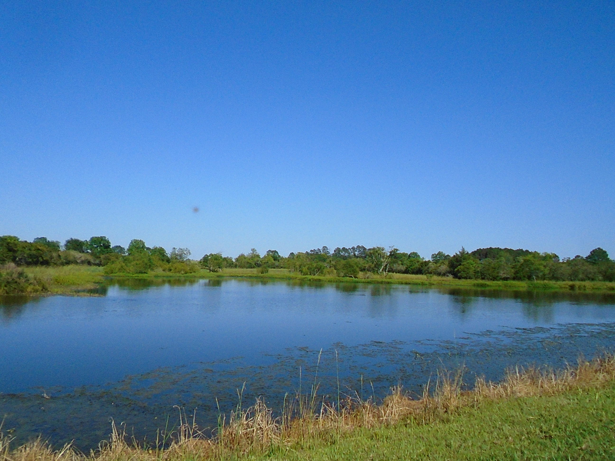 METES & BOUNDS - Farm