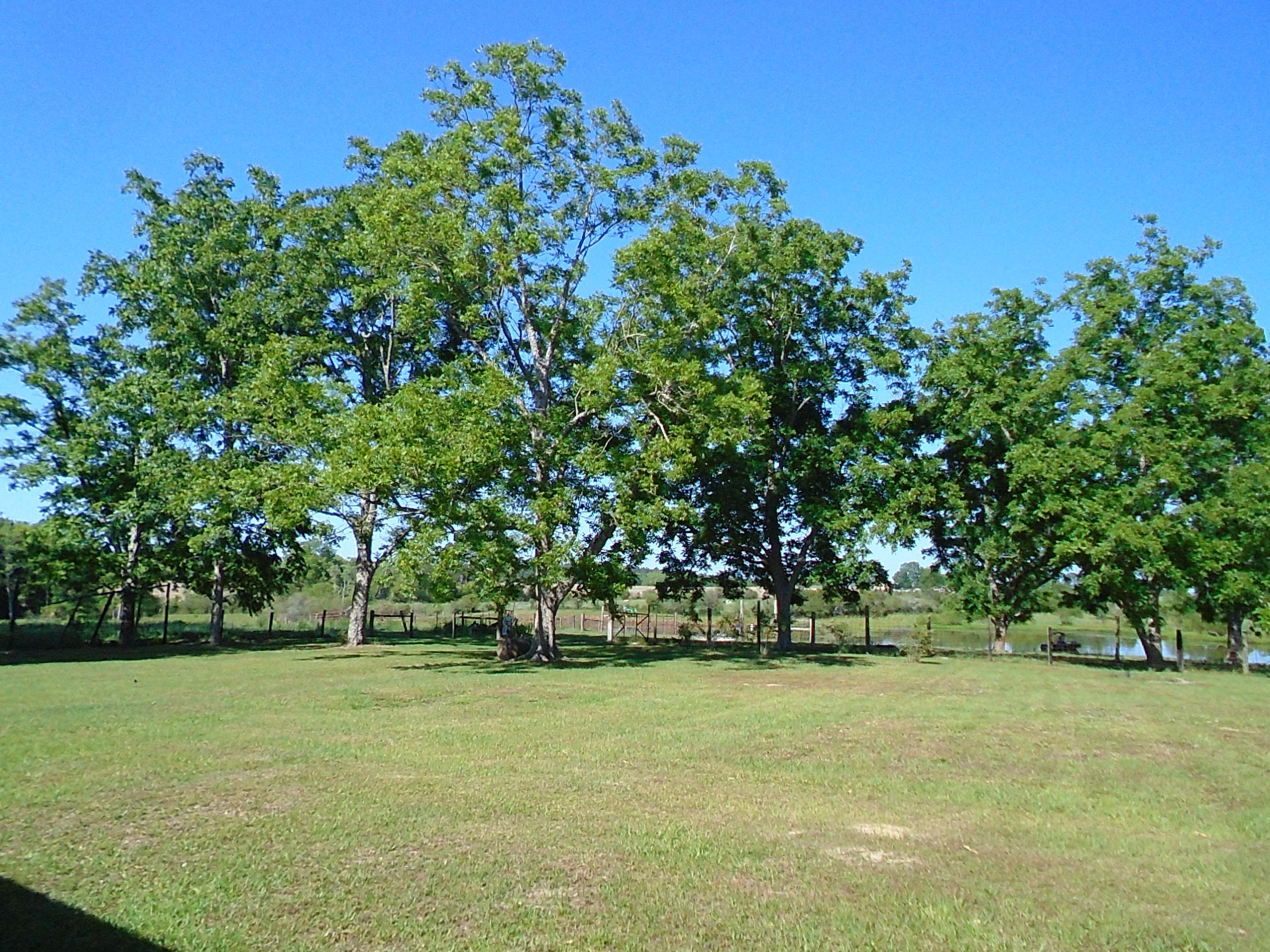 METES & BOUNDS - Farm