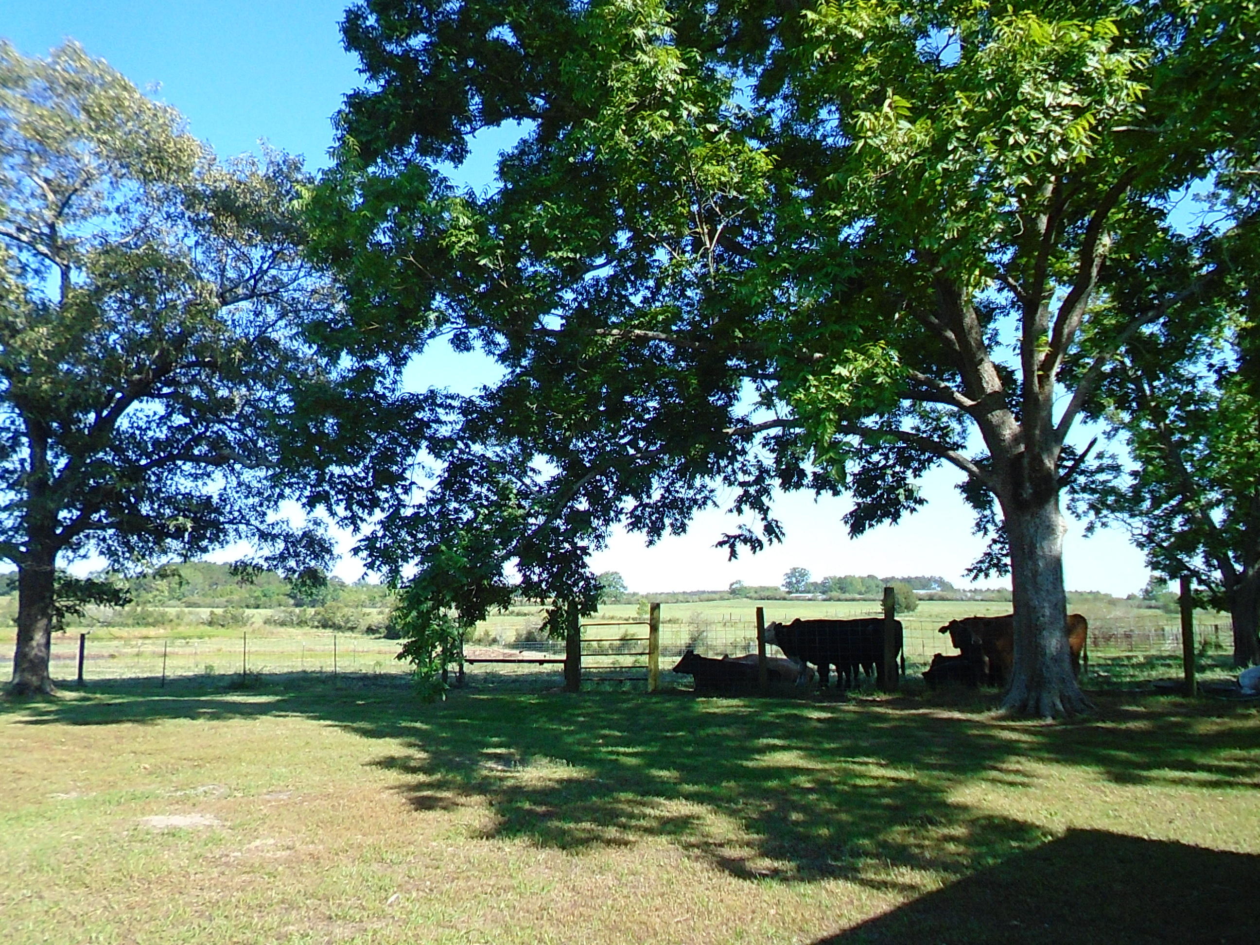 METES & BOUNDS - Farm