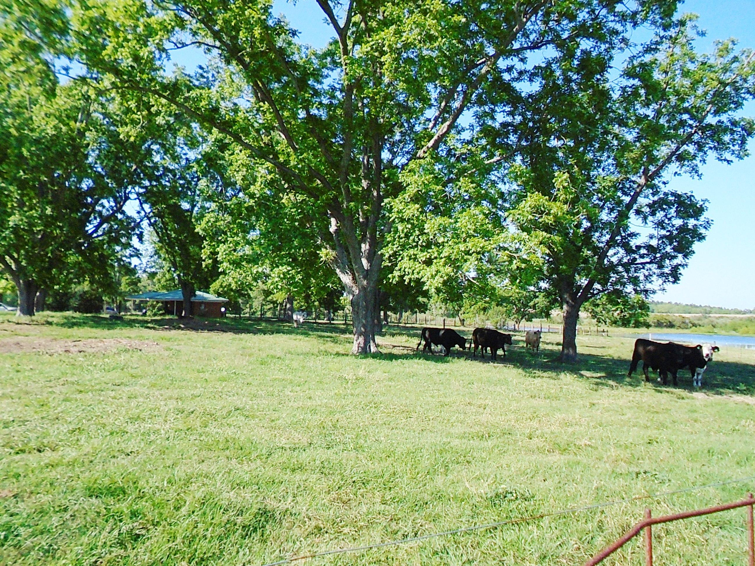 METES & BOUNDS - Farm