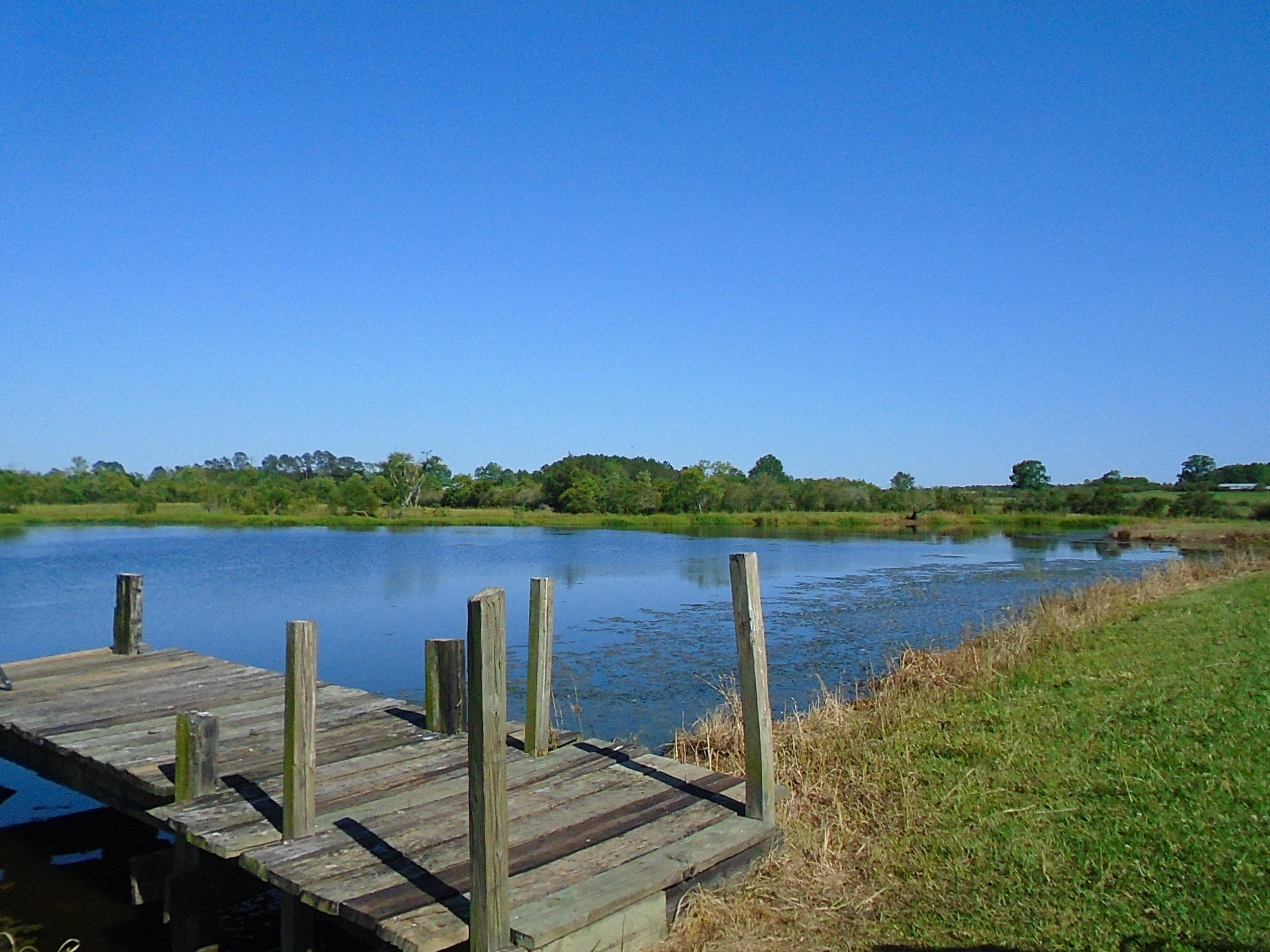 METES & BOUNDS - Farm