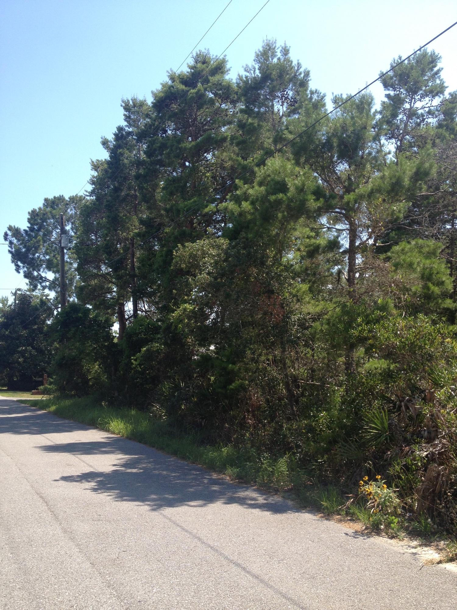 SANTA ROSA RIDGE UNIT 1 - Land