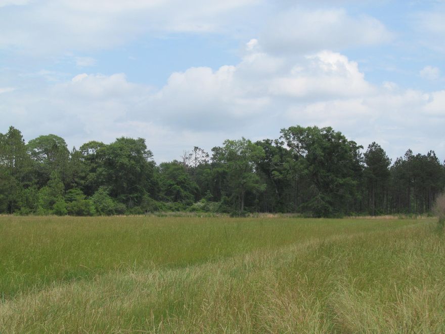 This 40 acre parcel is made up of pasture, pines, hardwoods and cut over property. Nice trails through out the 40 acres. Paved road frontage. Established pasture, perfect for cattle or horses. Great spot to build a country home. Excellent deer hunting. Smart Investment