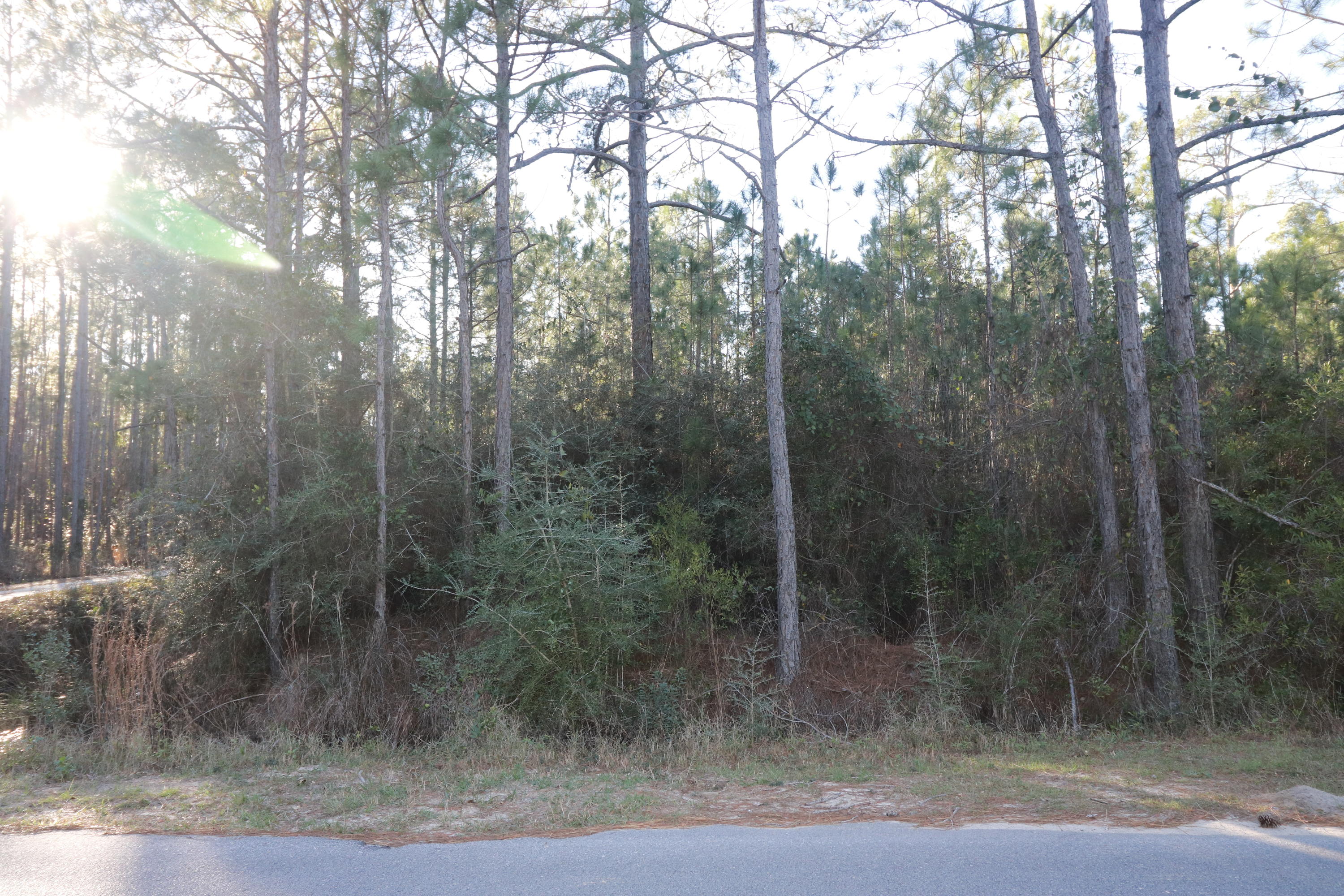 This 1+ acre lot is located within a 1/2 mile to the Bay.