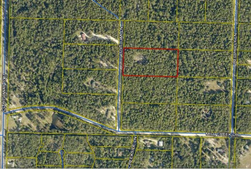 Beautiful 5 Acre parcel offering privacy and Acreage located just off of Hwy 1087. Zoning is General Agriculture, abundance of wildlife, and no HOA. Partial Clearing has been started for a homesite. Electric is available at the road. Great location just 20 minutes to Niceville.
