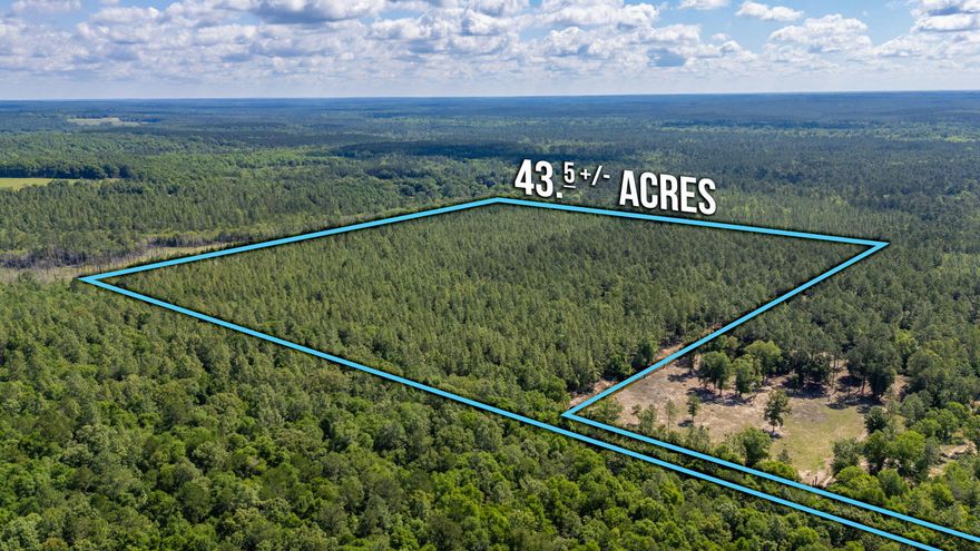 Escape the hustle and embrace the tranquility of this exceptional 43.5-acre parcel nestled in the heart of Baker, Florida. Tucked away at the end of a long driveway, this rare find offers the perfect blend of seclusion, natural beauty, recreational opportunity and an awesome place for a potential future homestead property.This expansive property borders protected water management land, ensuring privacy, abundant wildlife for years to come. Call to schedule your private showing today!