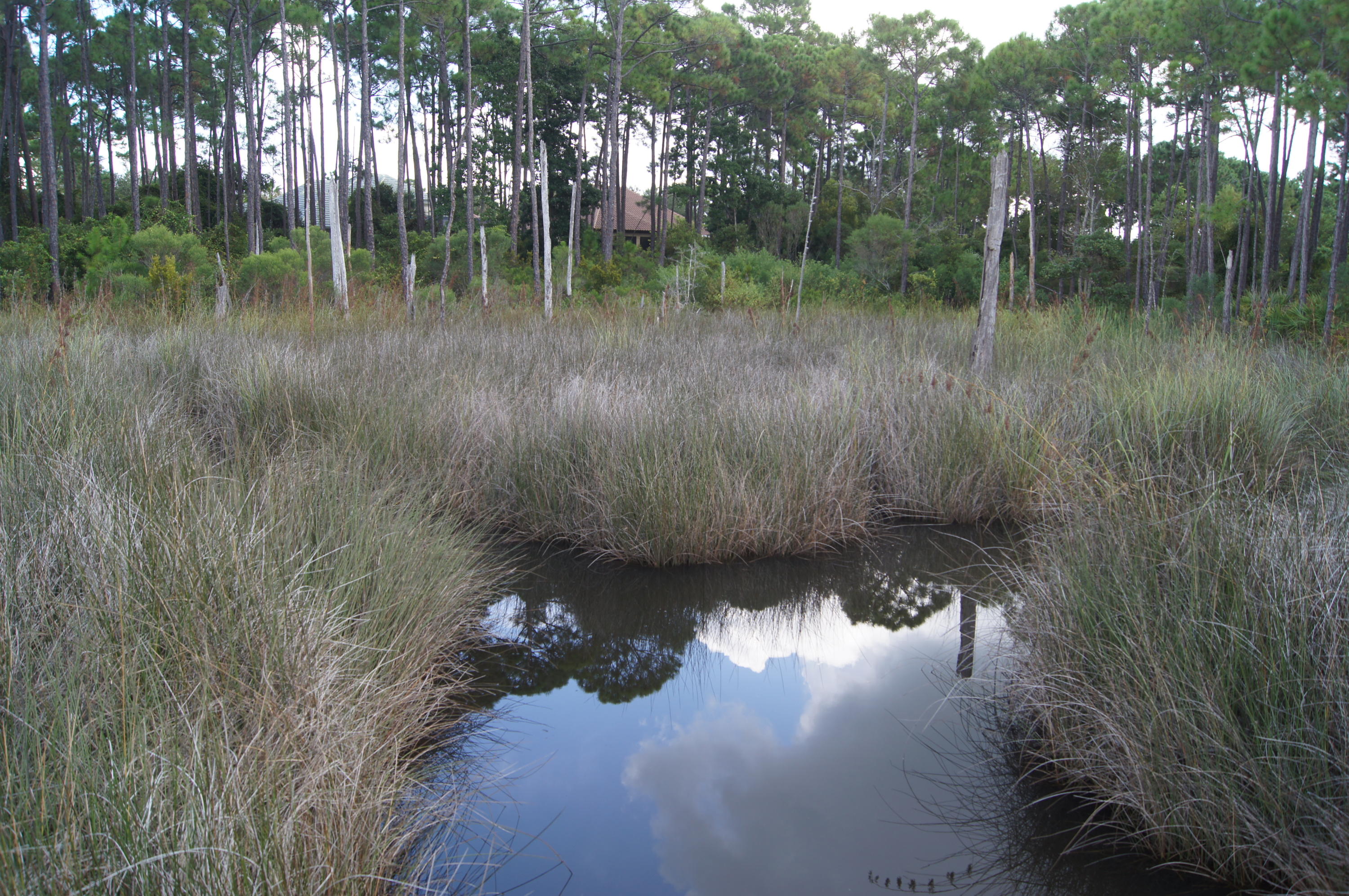 Located at the end of the bayou, a perfect spot to build your dream home! Surrounded by some of the most beautiful homes in this area, this large home site is at the end of the bayou and is wooded the back offering the utmost in privacy. The Choctawhatchee Bay is at the northeastern border of the bayou. Regatta Bay is a gated, golf course community offering sidewalks, walking trails and an amenity center with a large pool, playground and tennis courts and is also located near dining, shopping and much more!