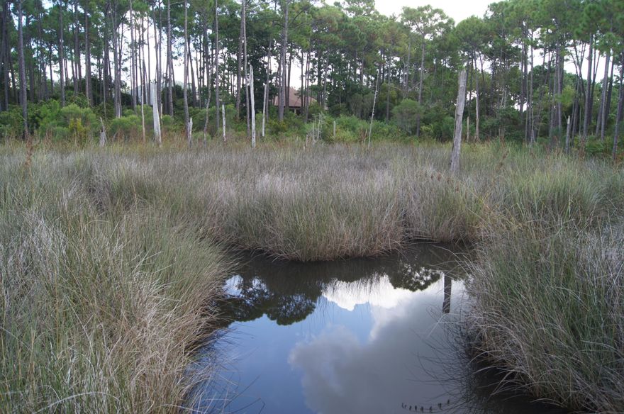 Located at the end of the bayou, a perfect spot to build your dream home! Surrounded by some of the most beautiful homes in this area, this large home site is at the end of the bayou and is wooded the back offering the utmost in privacy. The Choctawhatchee Bay is at the northeastern border of the bayou. Regatta Bay is a gated, golf course community offering sidewalks, walking trails and an amenity center with a large pool, playground and tennis courts and is also located near dining, shopping and much more!