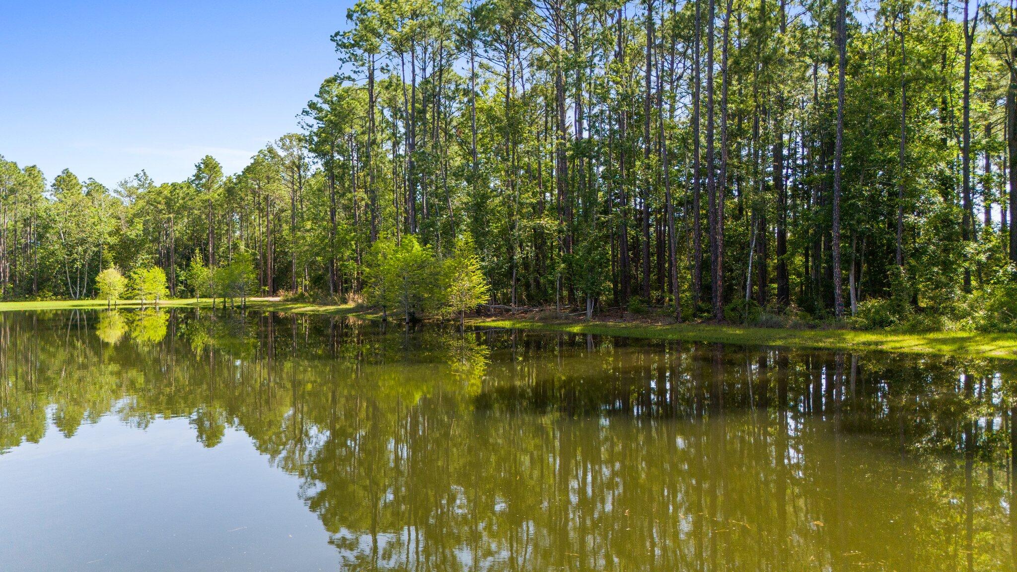 HAMMOCK BAY - Land