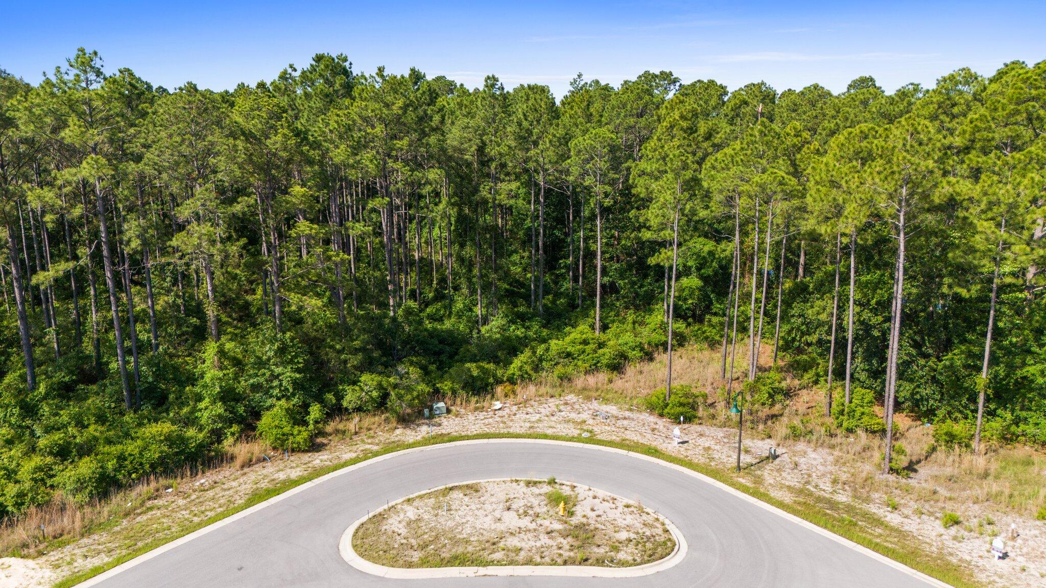 HAMMOCK BAY - Land
