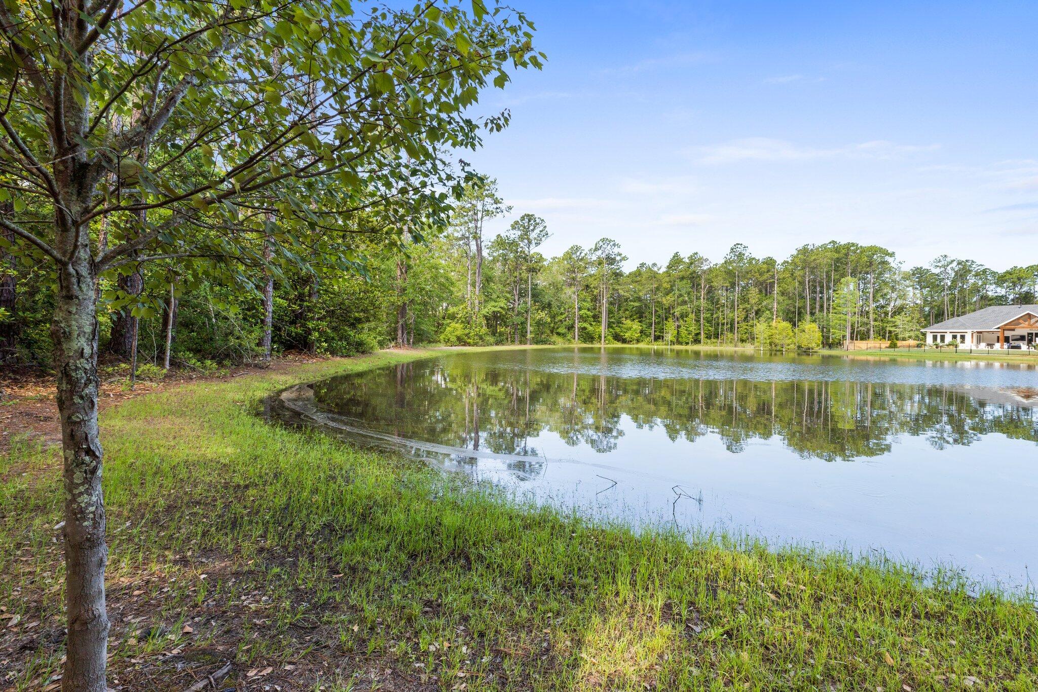 HAMMOCK BAY - Land