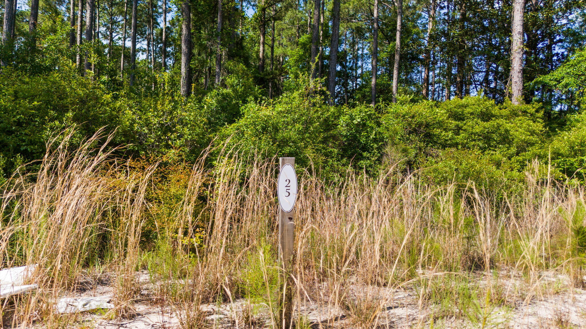 HAMMOCK BAY - Land