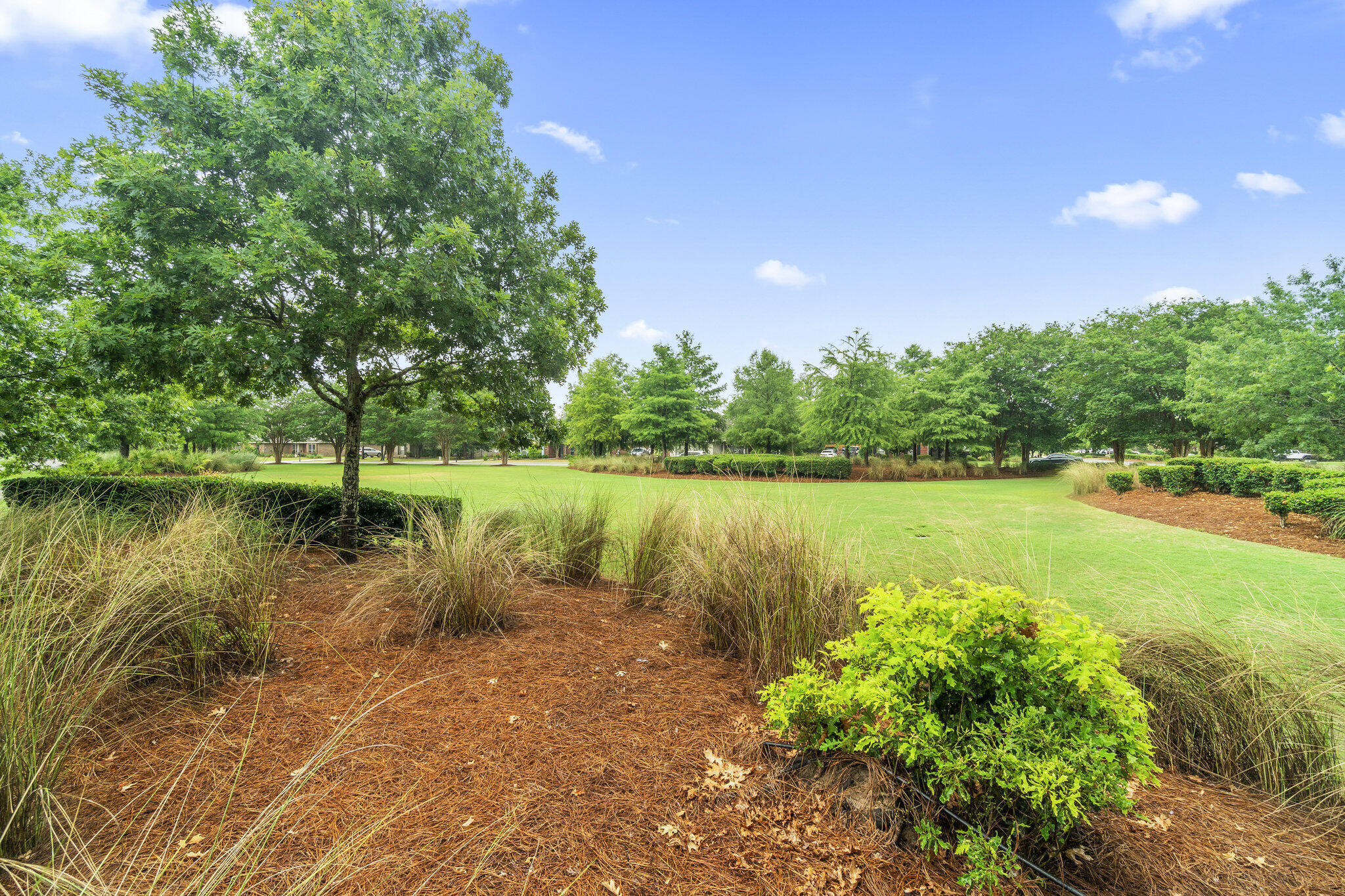 Lake Merial - Residential