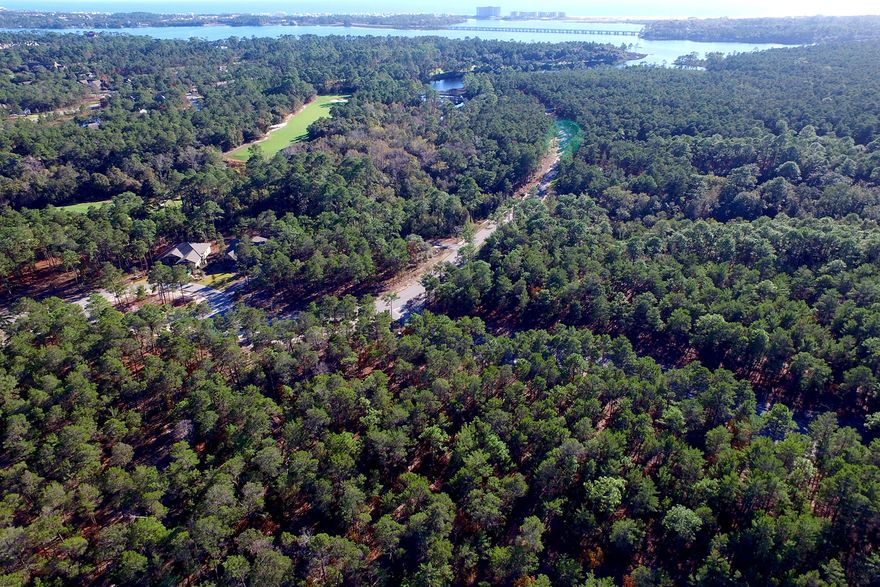 Wild Heron is a 734 acre residential community along the shores of Lake Powell, Florida's largest coastal dune lake. Residents enjoy amenities including a lakefront swimming pool, fitness center, lakeside boardwalk, and a family park. The lakefront boathouse and gathering place is stocked with kayaks and canoes for residents to enjoy on Lake Powell. Wild Heron is also home to the private Greg Norman-designed Shark's Tooth Golf Course. Wild Heron is conveniently located just minutes from shopping, dining, and the beautiful beaches of Panama City Beach, Rosemary Beach, and South Walton.