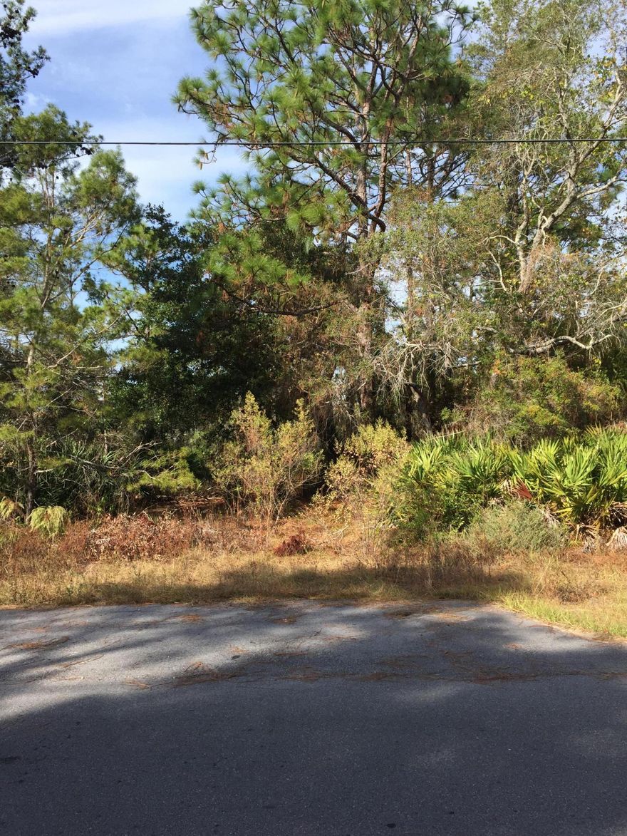 One of the remaining wooded lots left in Elizabeth Farms. This interior vacant lot is perfectly located close enough to W Hewitt to be convenient but still away from the traffic and bustle of the main road. It is close to Wal-Mart, Donut Hole, Sacred Heart Hospital, Grand Boulevard, Silver Sands Outlet Mall, Sandestin, and other shopping and recreational opportunities. There is no established timeframe for having to build so you can hold it as long as you like, and there are no HOA fees to pay. This is one of 3 lots. The other 2 lots (sold separately) are on Foxmeyer and back up to this one. All 3 lots are located in the ''X'' flood zone so no flood insurance is required. Purchase all 3 lots for $120,000. Seller is motivated. Make an offer today. Listing agent is related to Seller