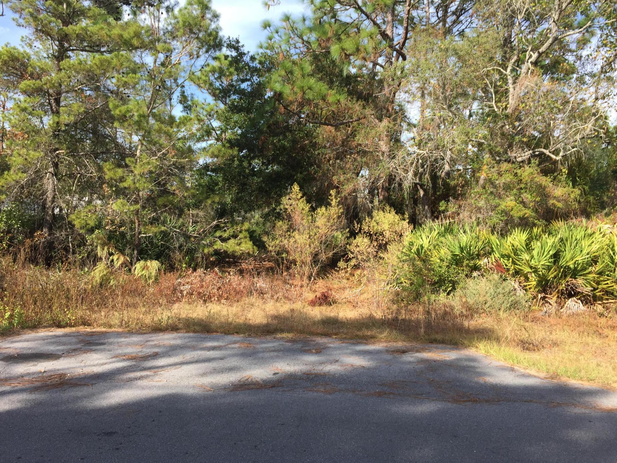 ELIZABETH FARMS 2ND ADDN UNREC - Land