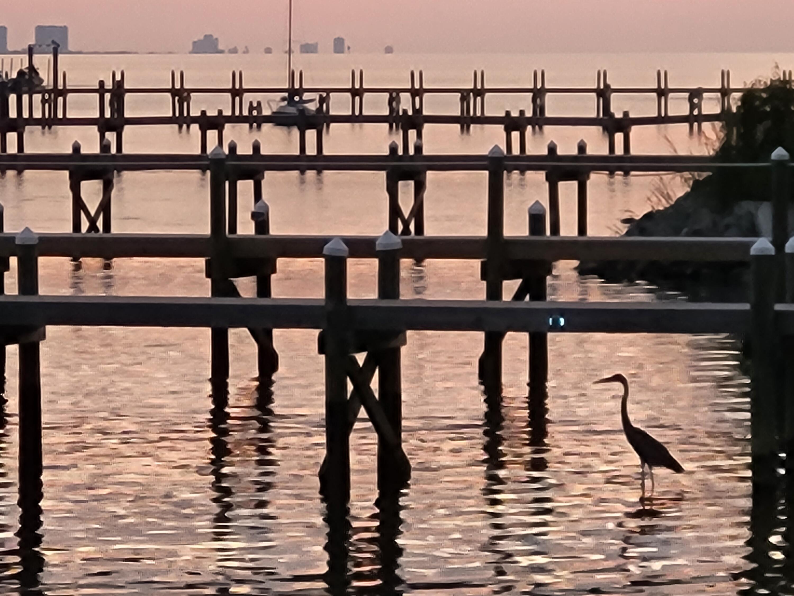MAGNOLIA HARBOR - Land