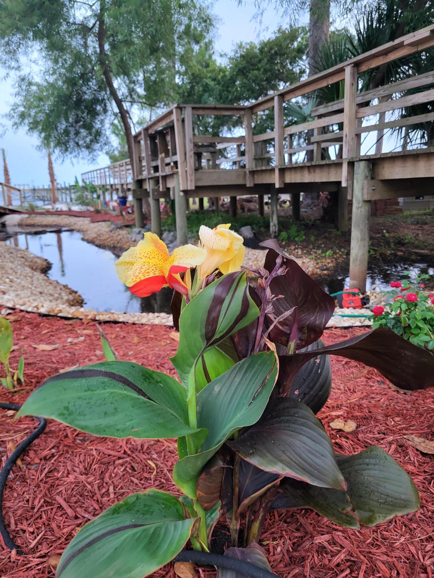 MAGNOLIA HARBOR - Land