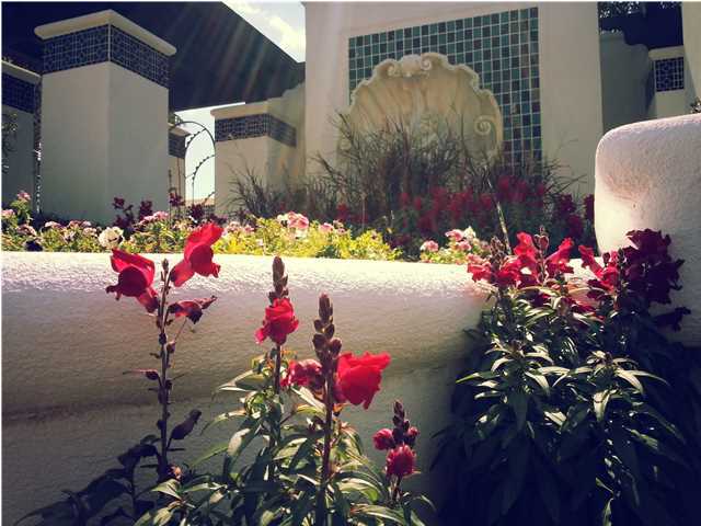 PARADISE BY THE SEA - Land