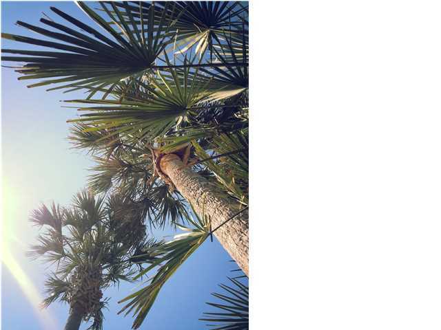 PARADISE BY THE SEA - Land