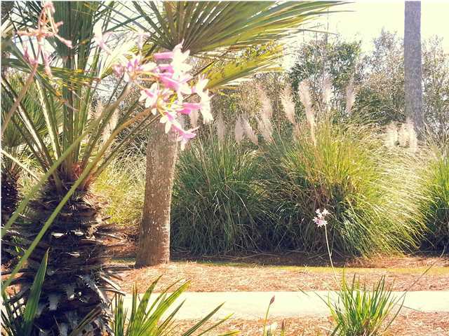 PARADISE BY THE SEA - Land