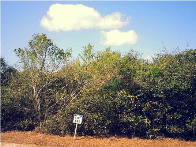 PARADISE BY THE SEA - Land