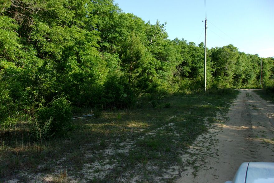 Wooded, level lot just East of Crestview and West of Hwy 285~  Wooded, interior lot~  Lots 28, 29 and 31 are also available, the 4 adjoins~