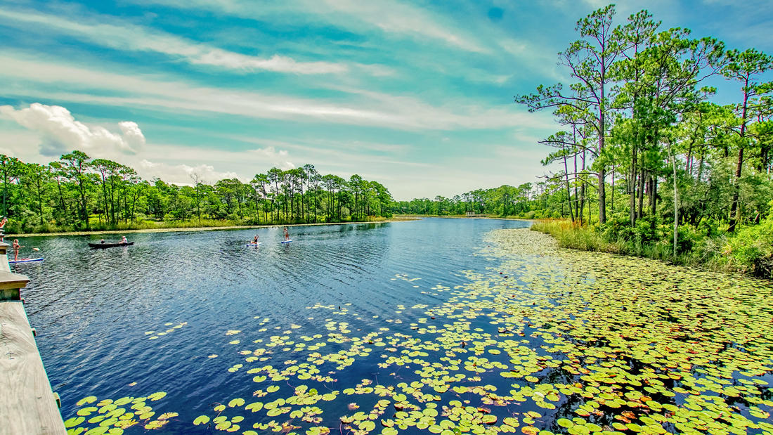 WATERCOLOR - Residential