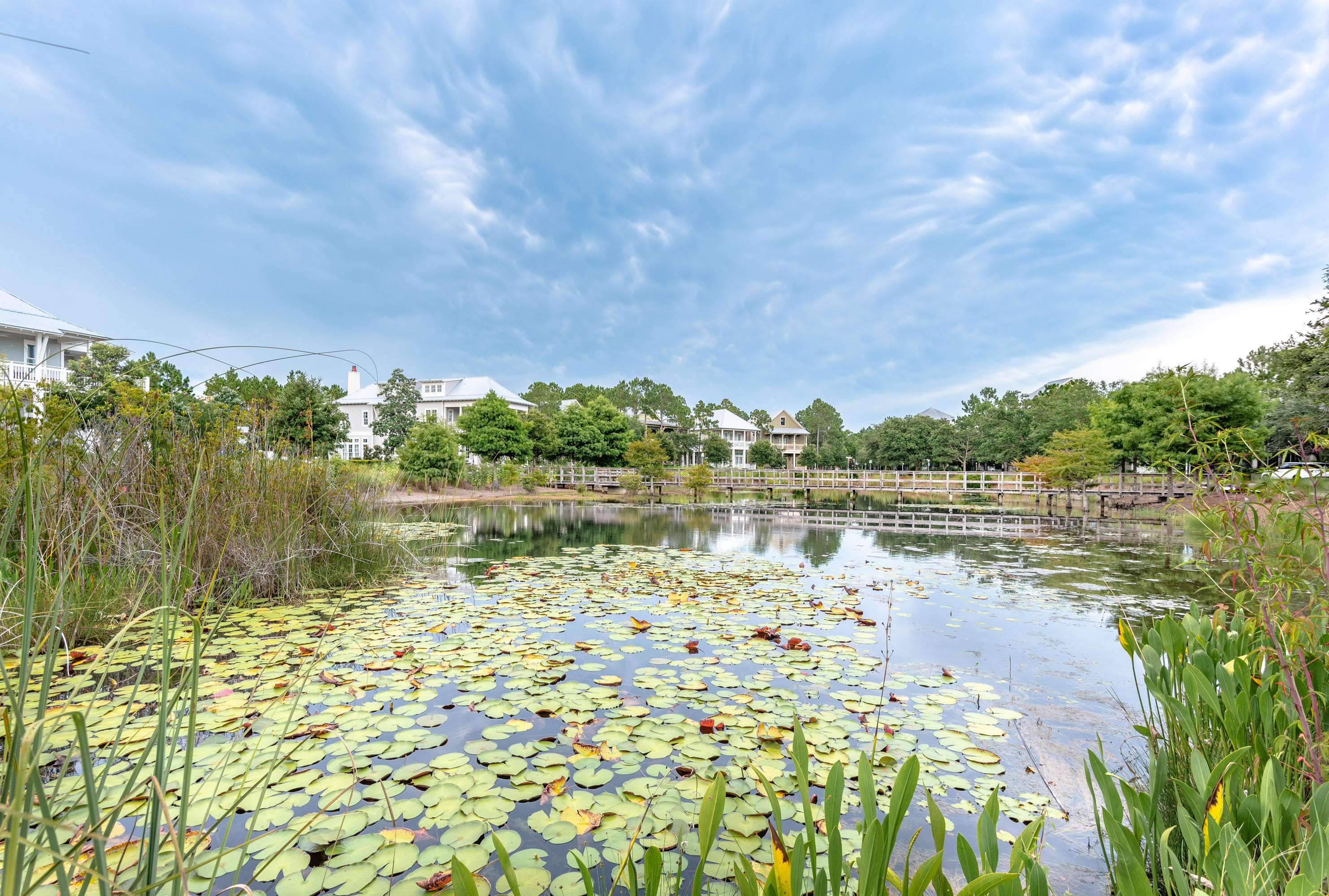 WATERCOLOR - Residential