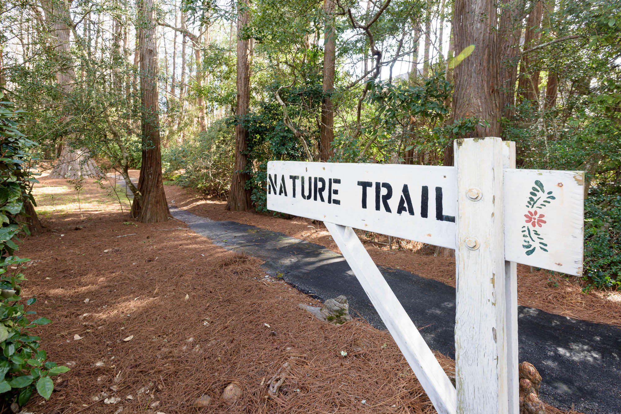 CASSINE VILLAGE - Residential