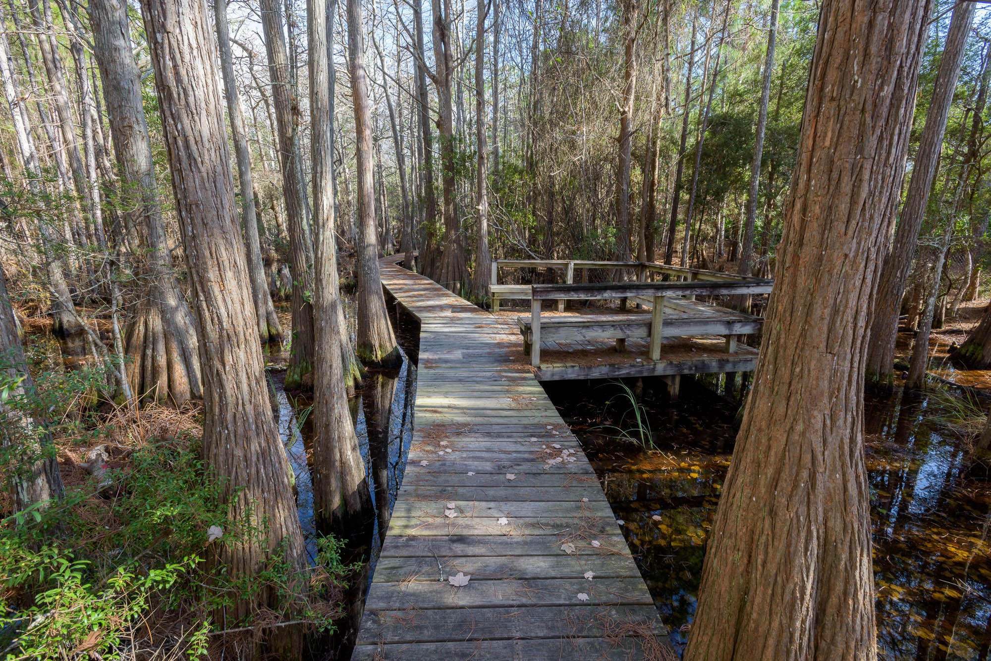 CASSINE VILLAGE - Residential