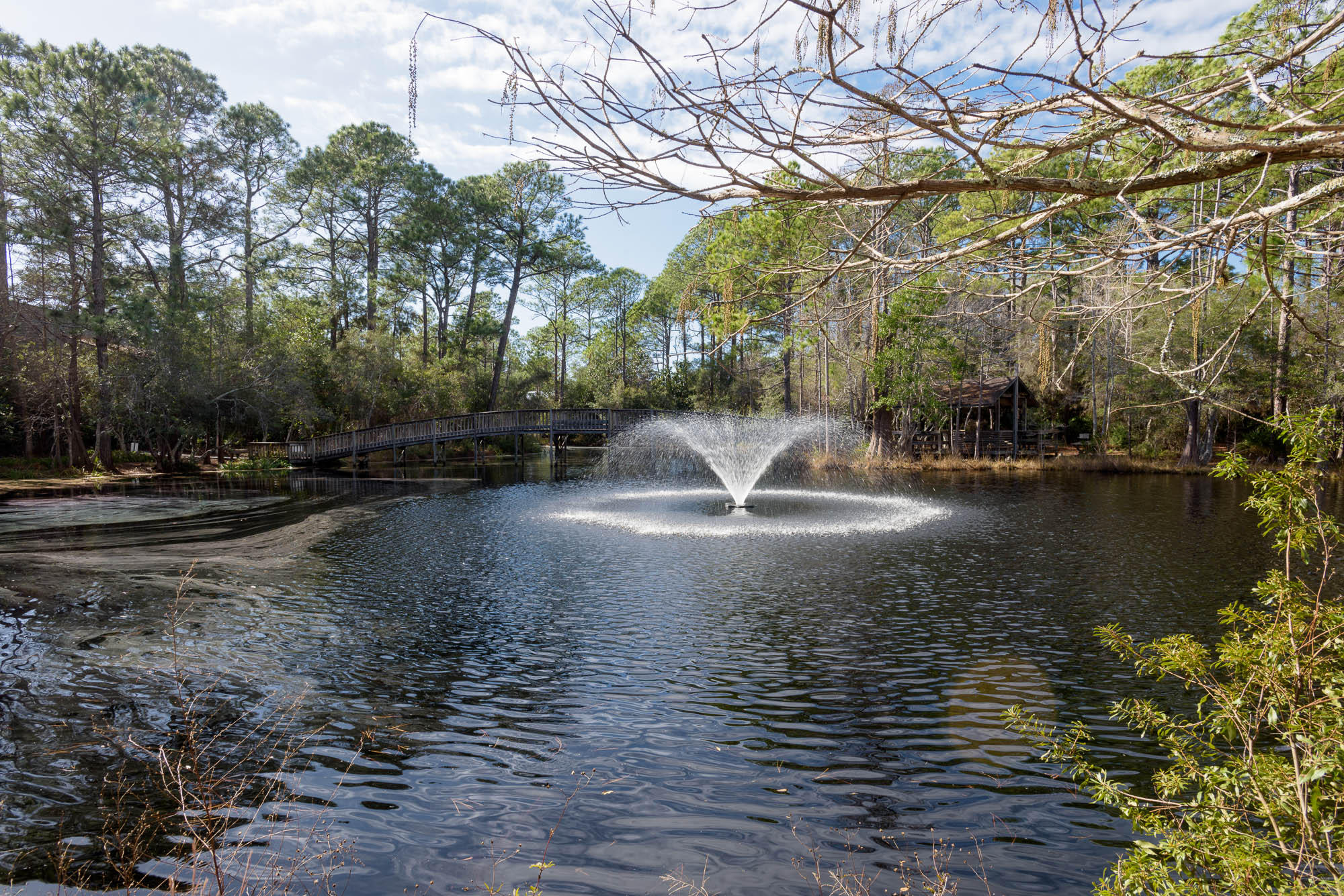 CASSINE VILLAGE - Residential