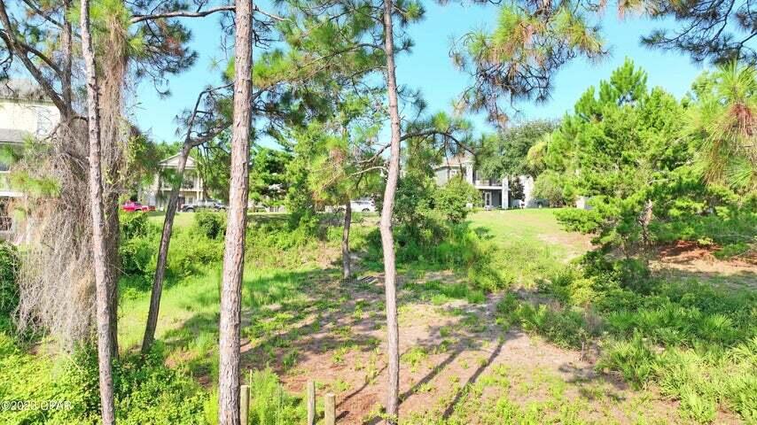 Turtle cove at Lake Powell - Land