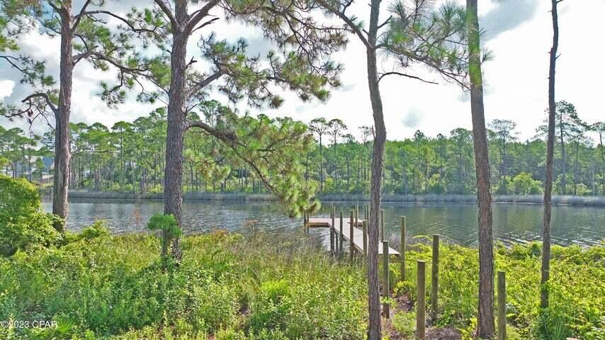 Turtle cove at Lake Powell - Land