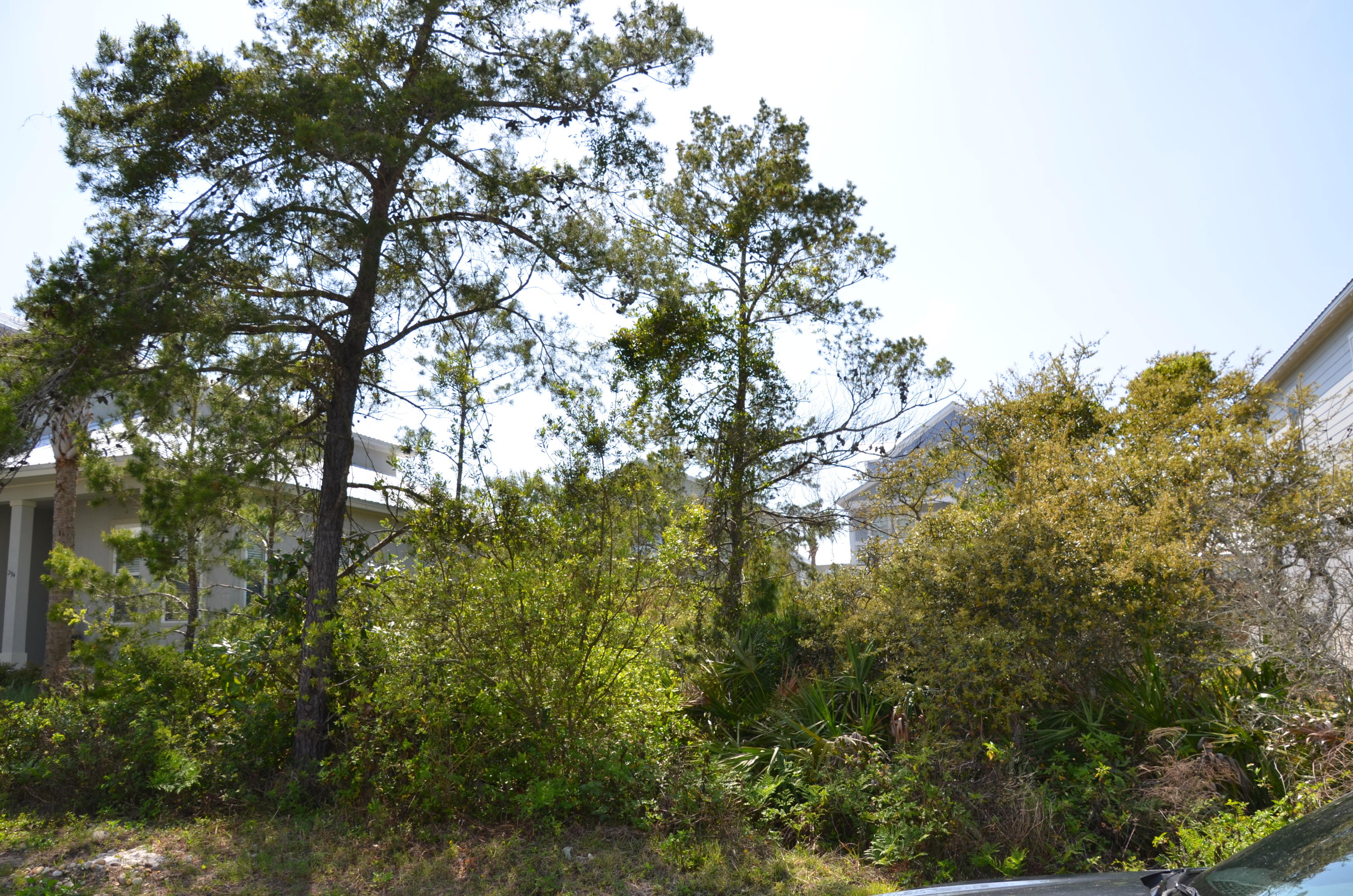 FRANGISTA BEACH 2ND ADDN - Land