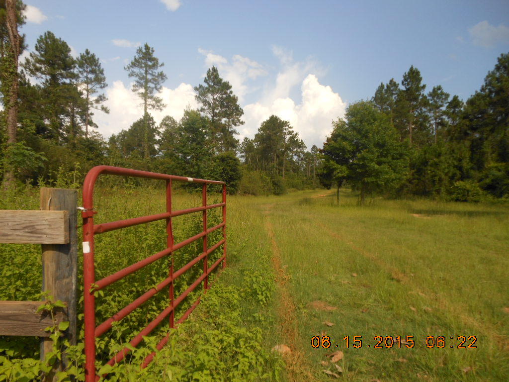 Reedy Creek Crossing - Residential