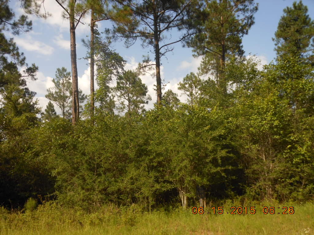 Reedy Creek Crossing - Residential