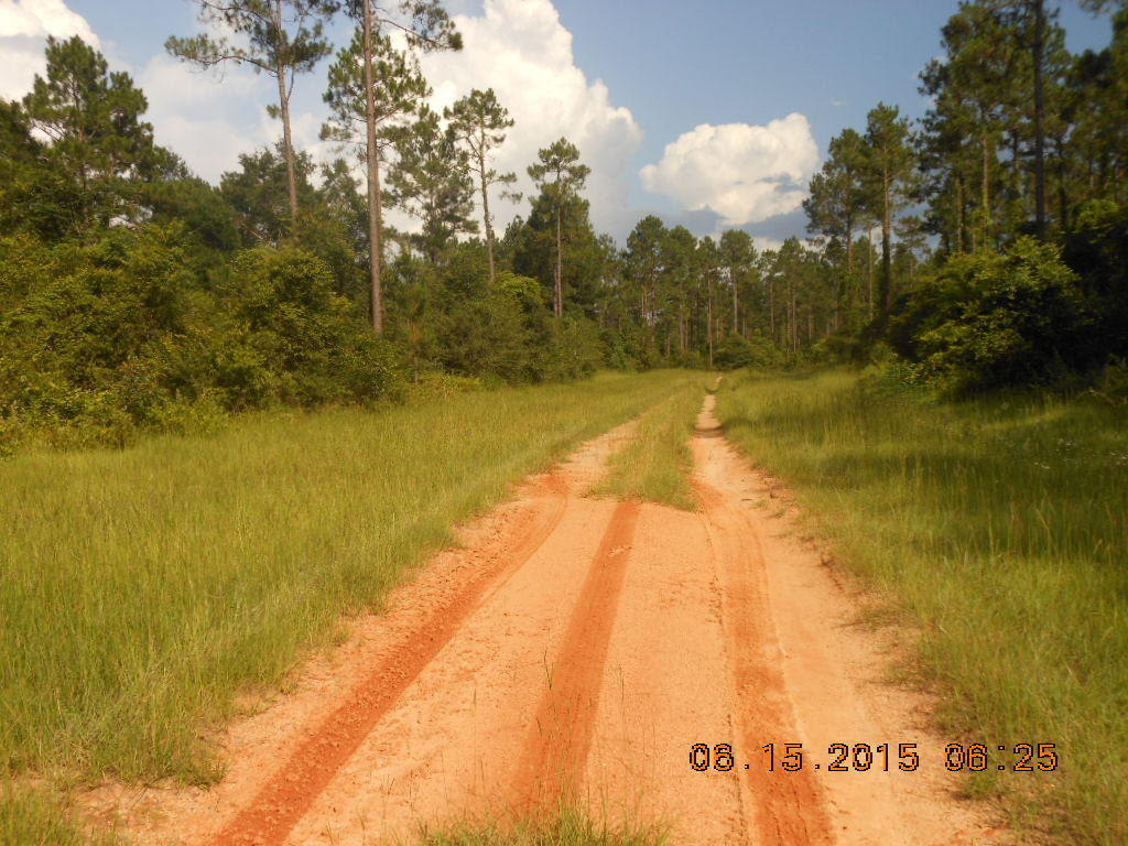 Reedy Creek Crossing - Residential