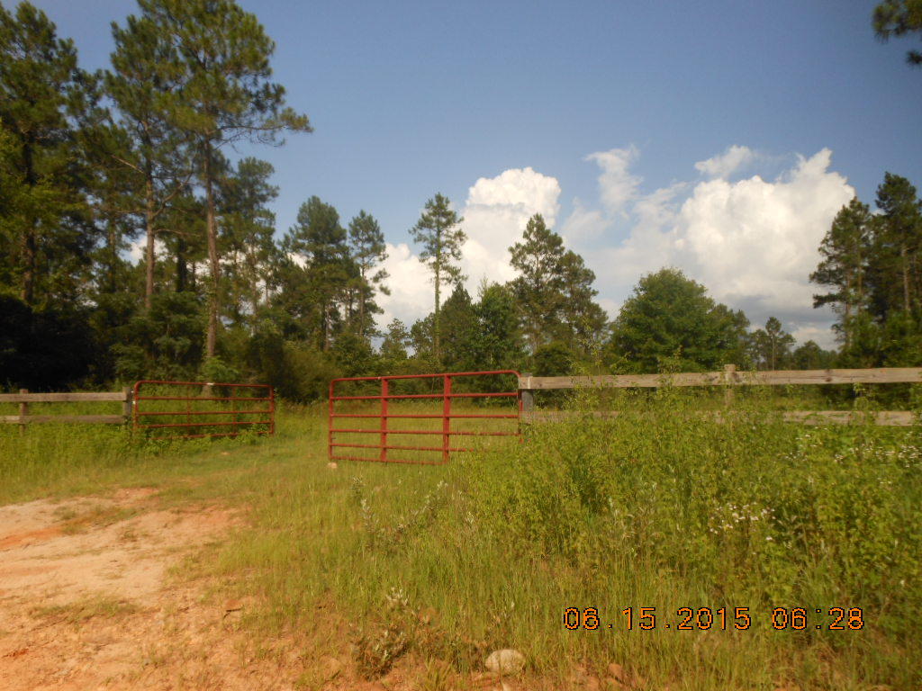 Reedy Creek Crossing - Residential