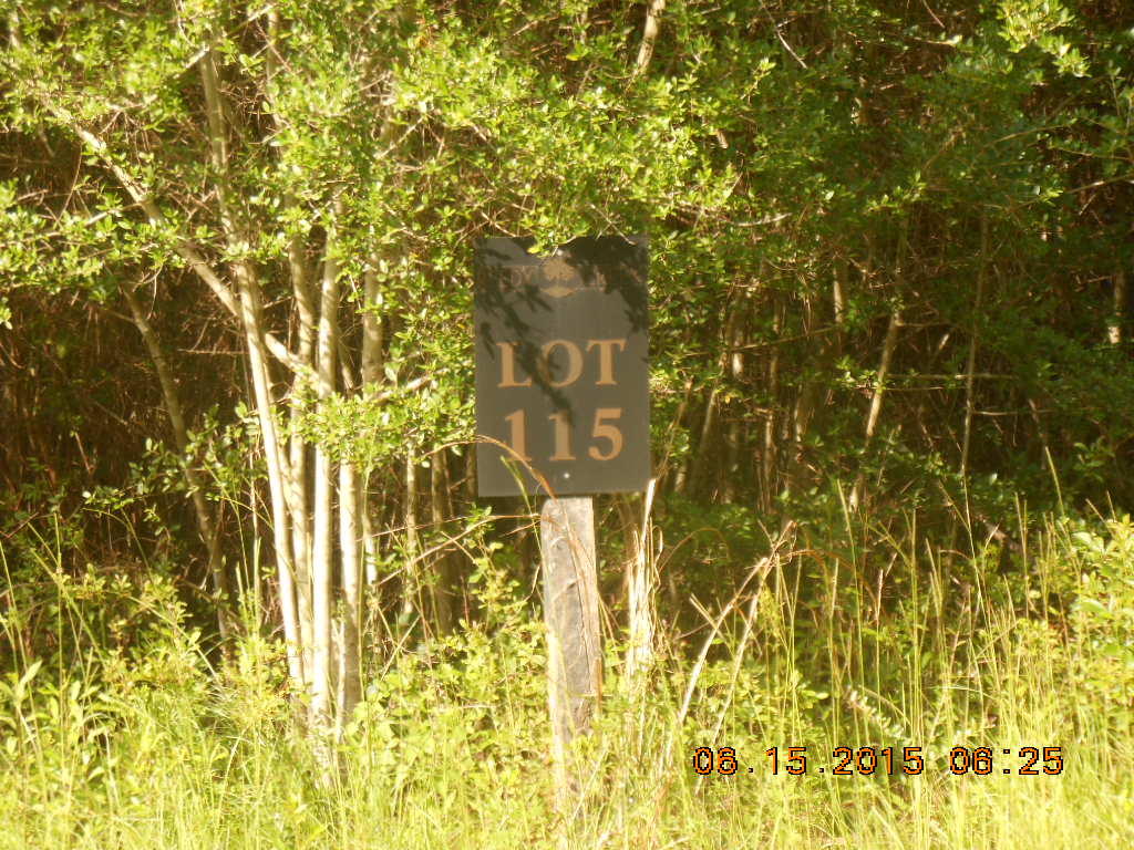 Reedy Creek Crossing - Residential