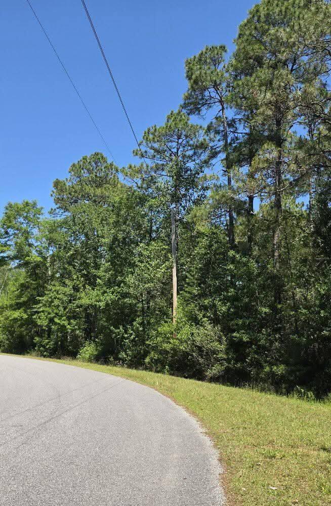 **Welcome to 00 Pandora Dr- 4.97 Acres**This 4.97-acre lot offers the perfect balance of privacy, natural beauty, and convenience. Currently part of a larger parcel. Parcel ID being used is the parent parcel. This land will be split and sold separately. Rare opportunity to build in a highly desirable location. This peaceful, wooded setting is ideal for your dream home or a quiet getaway. With nearby utilities, no HOA, and plenty of space to spread out, you'll have the freedom and flexibility to bring your vision to life. Whether you're looking to build now or invest in land for the future, this property is full of potential. Flood Zone X, meaning no flood insurance worries! No flood insurance worries! Zoned Residential. MOTIVATED SELLER!! Text Sam at 619-384-3791 for more info.