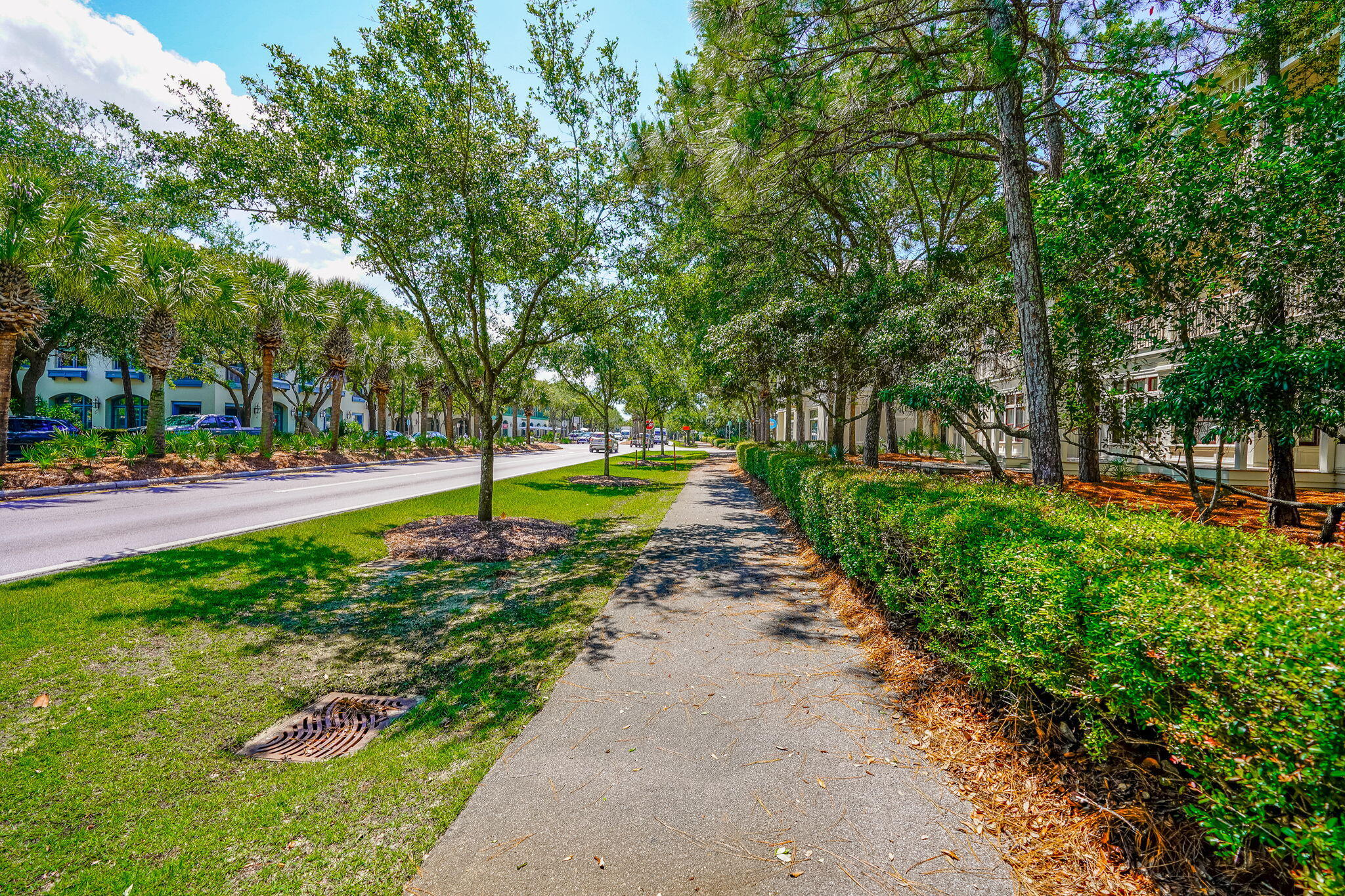 WATERCOLOR TOWN CENTER M6A&B&C - Residential