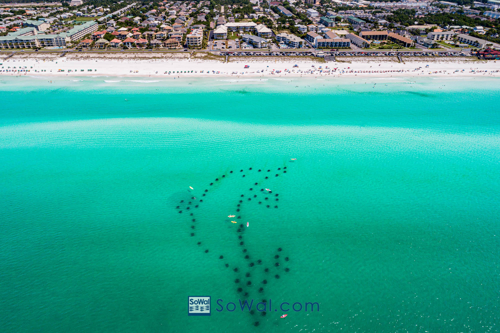 POINTE OF VIEW CONDO - Residential