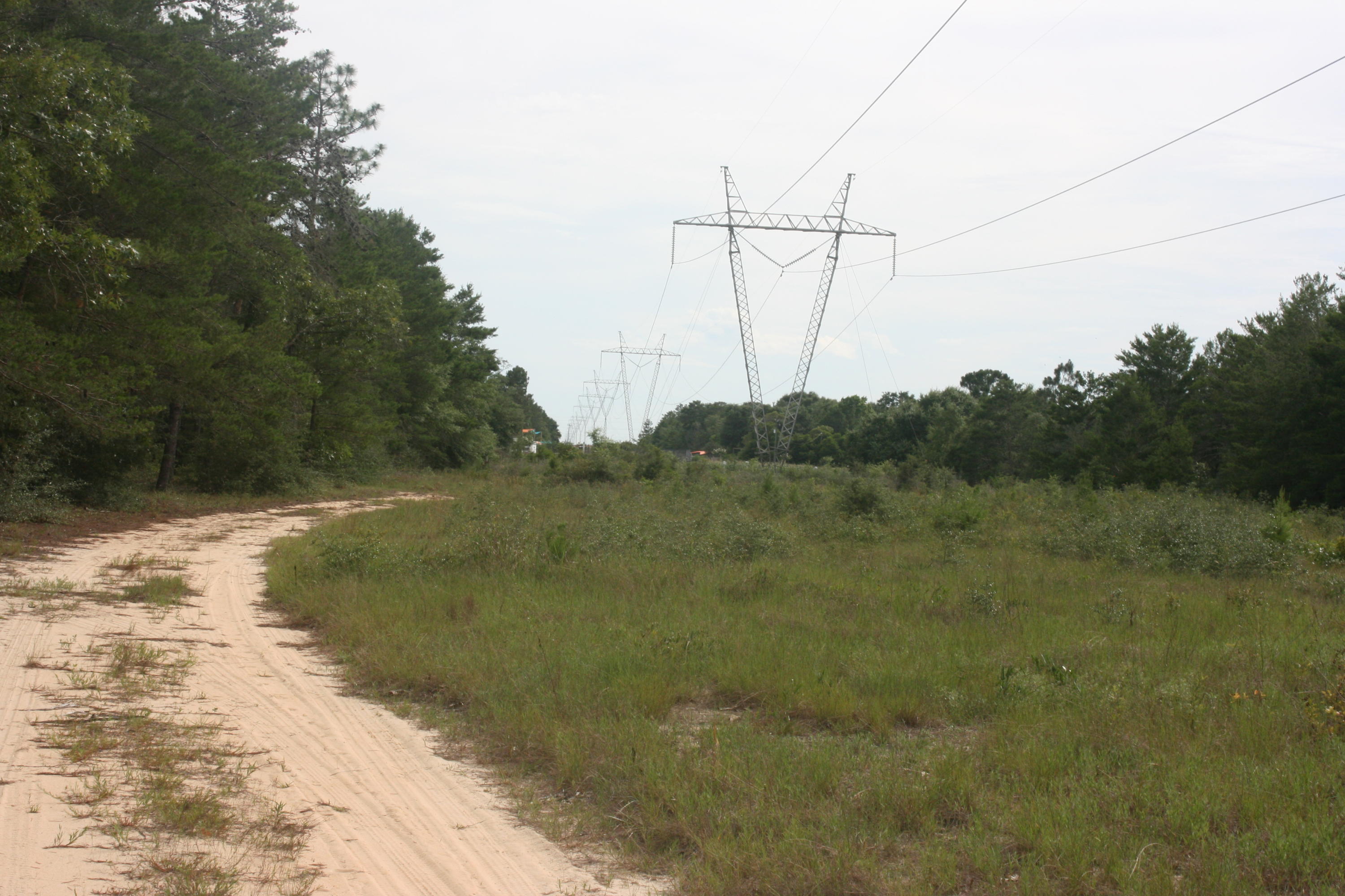 NONESUCH WAY - Residential