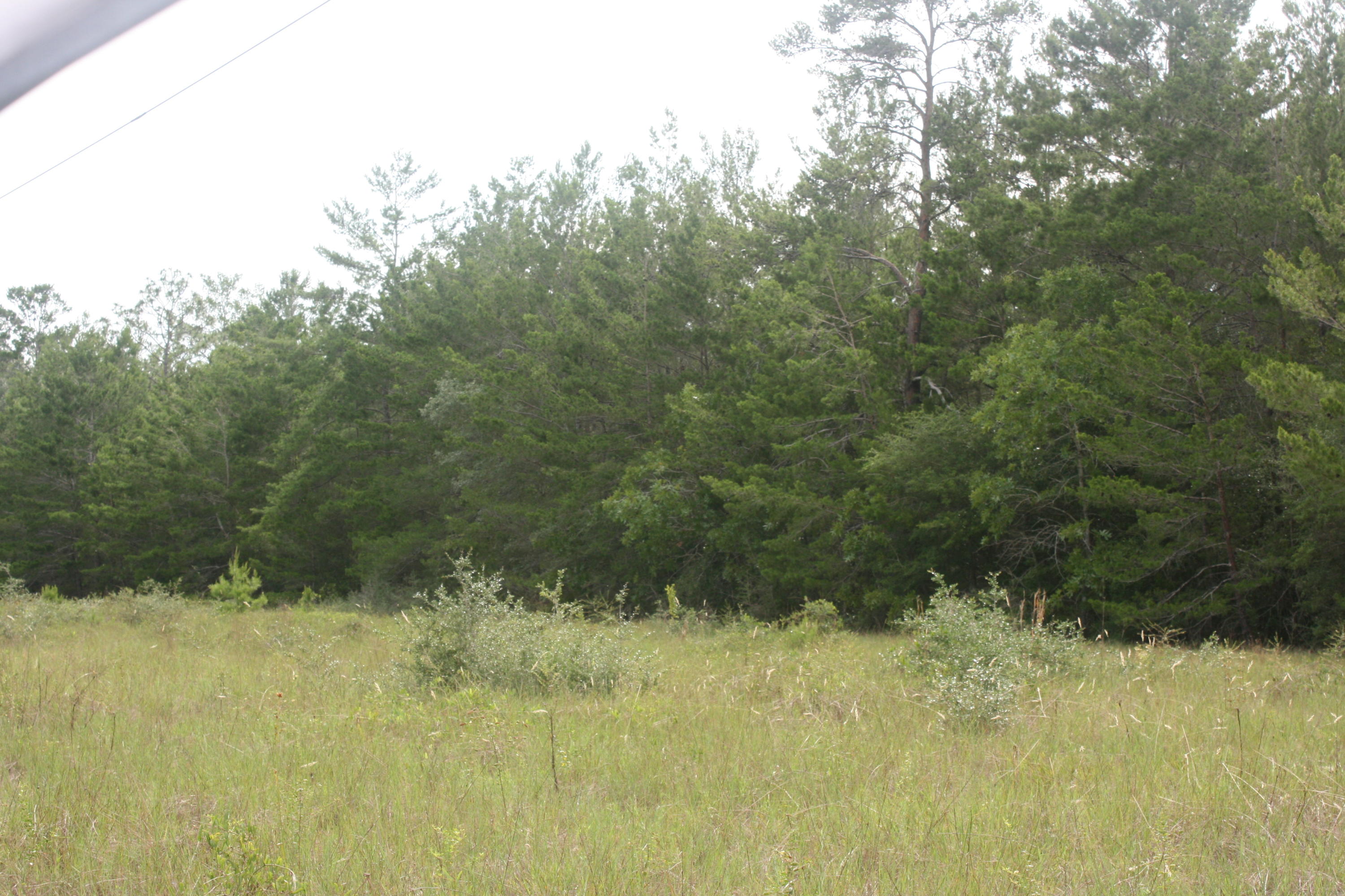 NONESUCH WAY - Residential